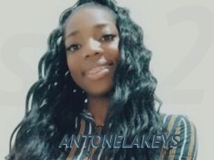 ANTONELAKEYS