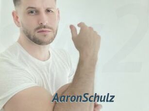 AaronSchulz