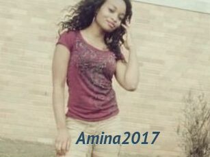 Amina2017