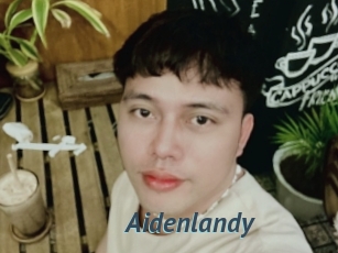 Aidenlandy