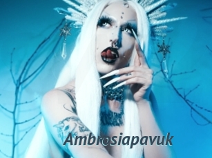 Ambrosiapavuk