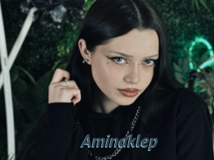 Aminaklep