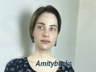 Amityburks