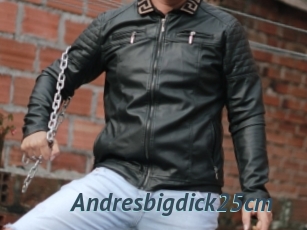 Andresbigdick25cm