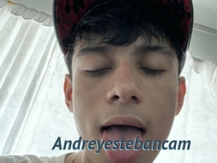 Andreyestebancam