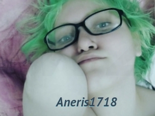 Aneris1718