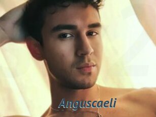 Anguscaeli