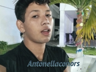 Antonellaconors