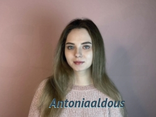 Antoniaaldous