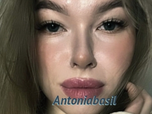 Antoniabasil