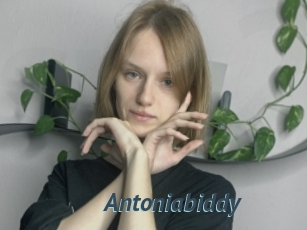 Antoniabiddy