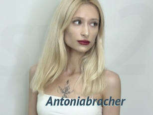 Antoniabracher