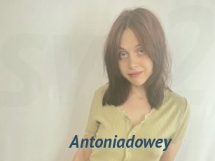 Antoniadowey