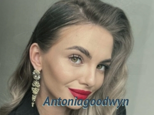 Antoniagoodwyn