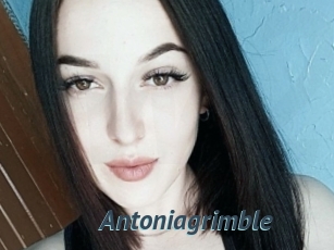 Antoniagrimble