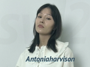 Antoniaharvison