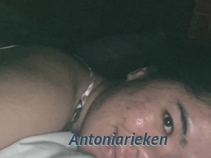 Antoniarieken