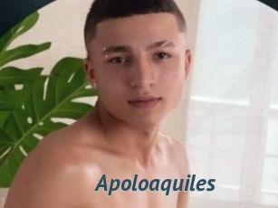 Apoloaquiles