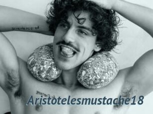 Aristotelesmustache18