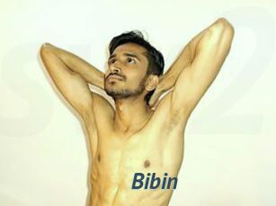 Bibin