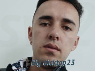 Big_dicktop23