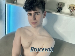 Brucevolt