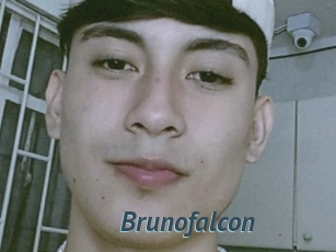 Brunofalcon