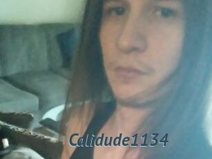 Calidude1134