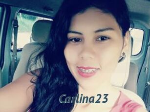 Carlina23