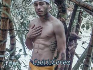 CedricGovea