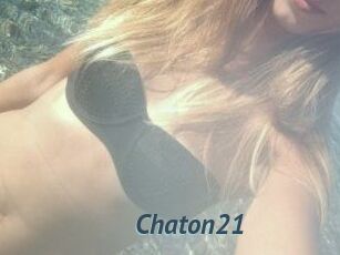 Chaton21