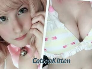 CottonKitten