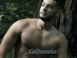 Calixsnake