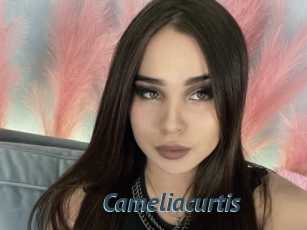 Cameliacurtis