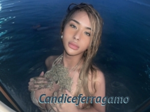 Candiceferragamo