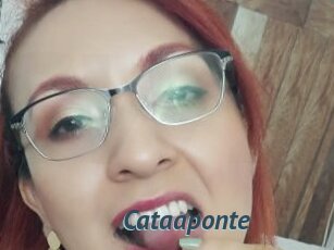 Cataaponte