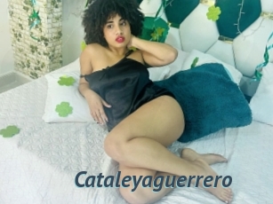 Cataleyaguerrero