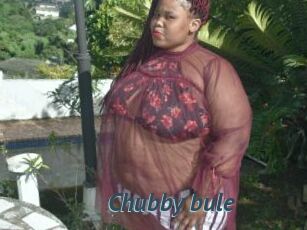 Chubby_bule