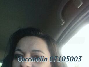 Coccinella-07105003