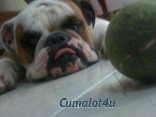 Cumalot4u