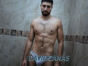 DAVID_ZANAS