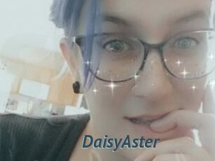 DaisyAster