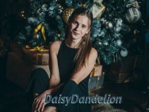 DaisyDandelion