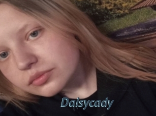 Daisycady