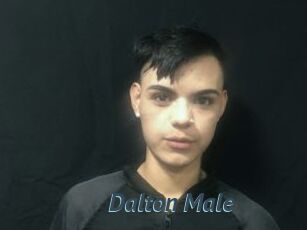 Dalton_Male