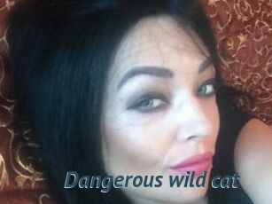 Dangerous_wild_cat