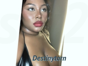 Destinytorn