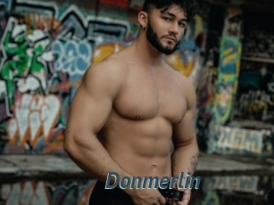 Donmerlin