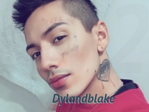 Dylandblake