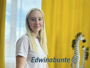 Edwinabunte